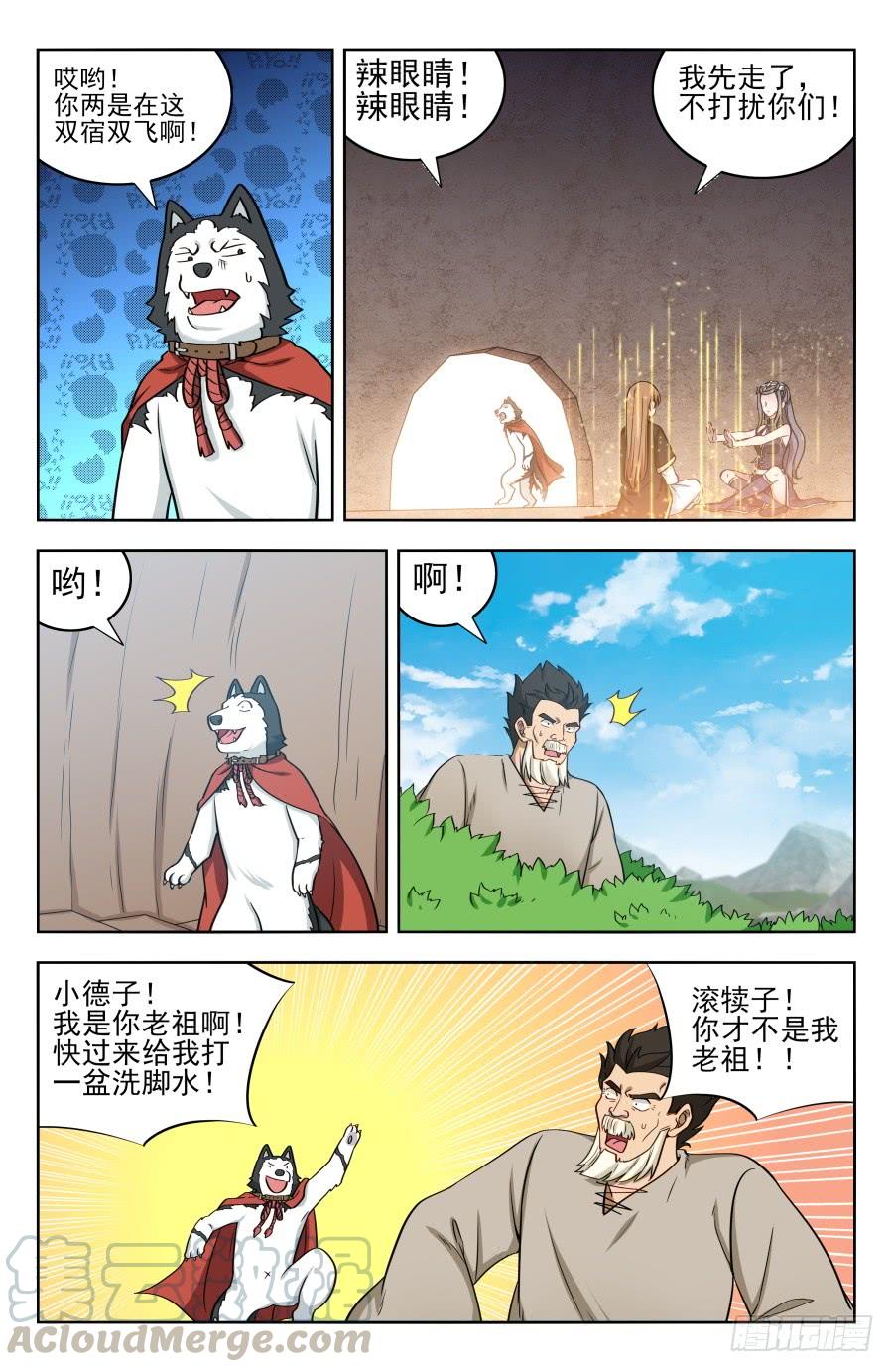 5.jpg