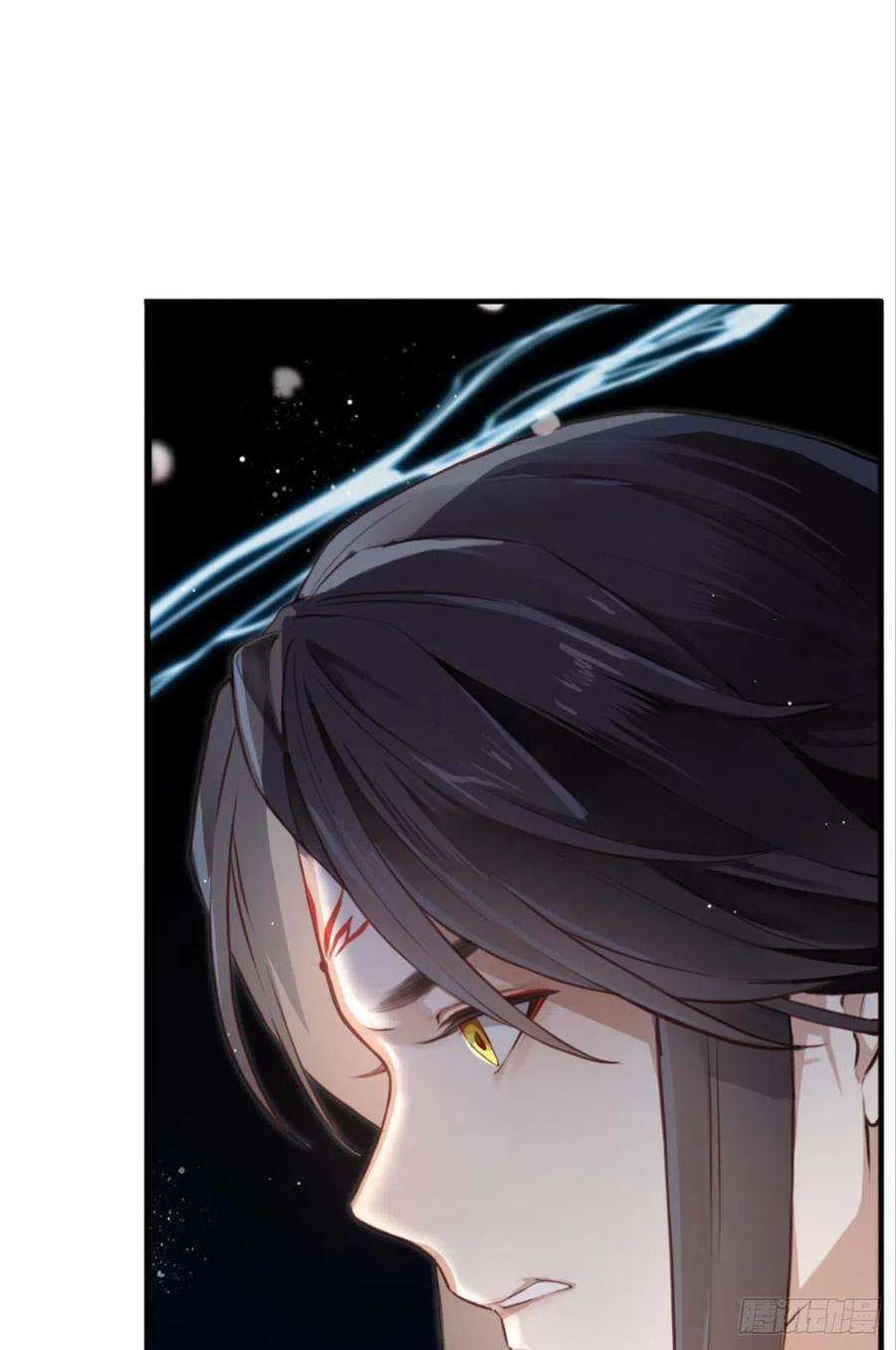 41.jpg