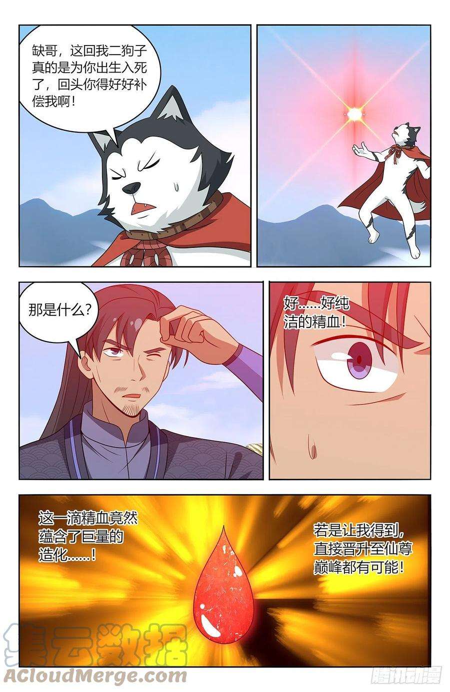 12.jpg