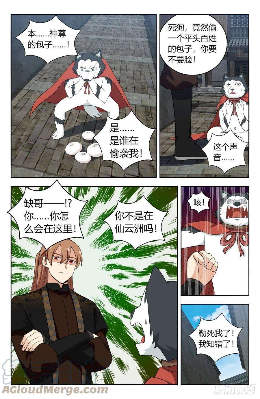 11.jpg