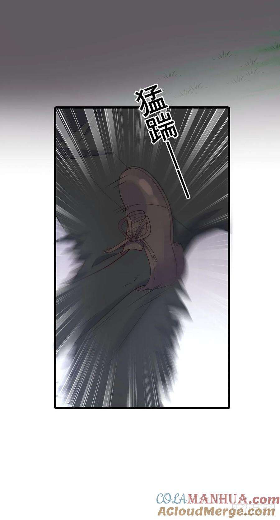 31.jpg