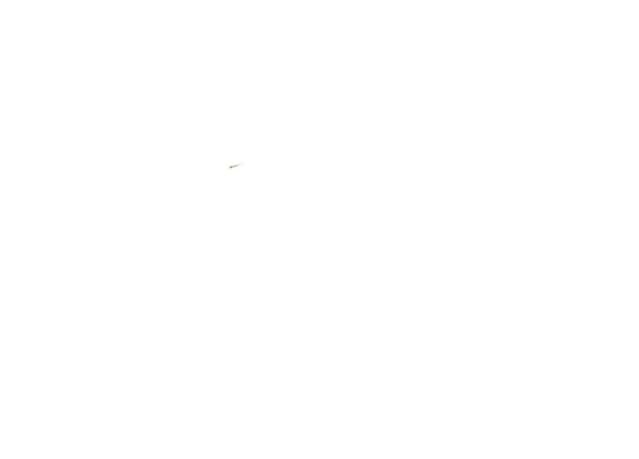 156.jpg