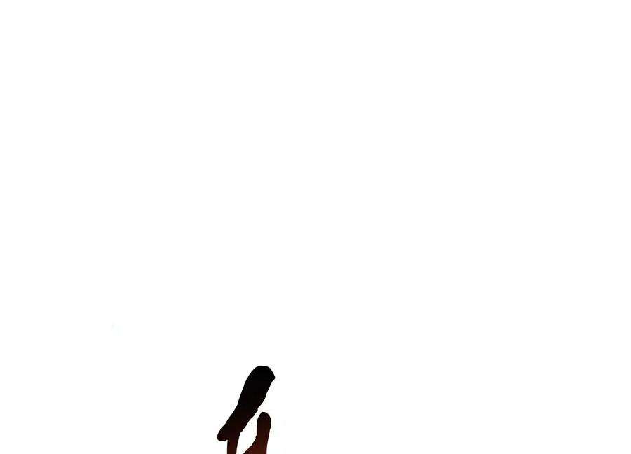 66.jpg