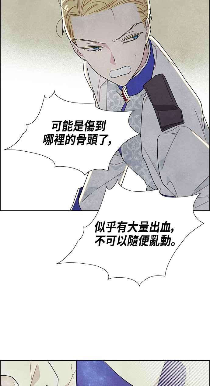 48.jpg