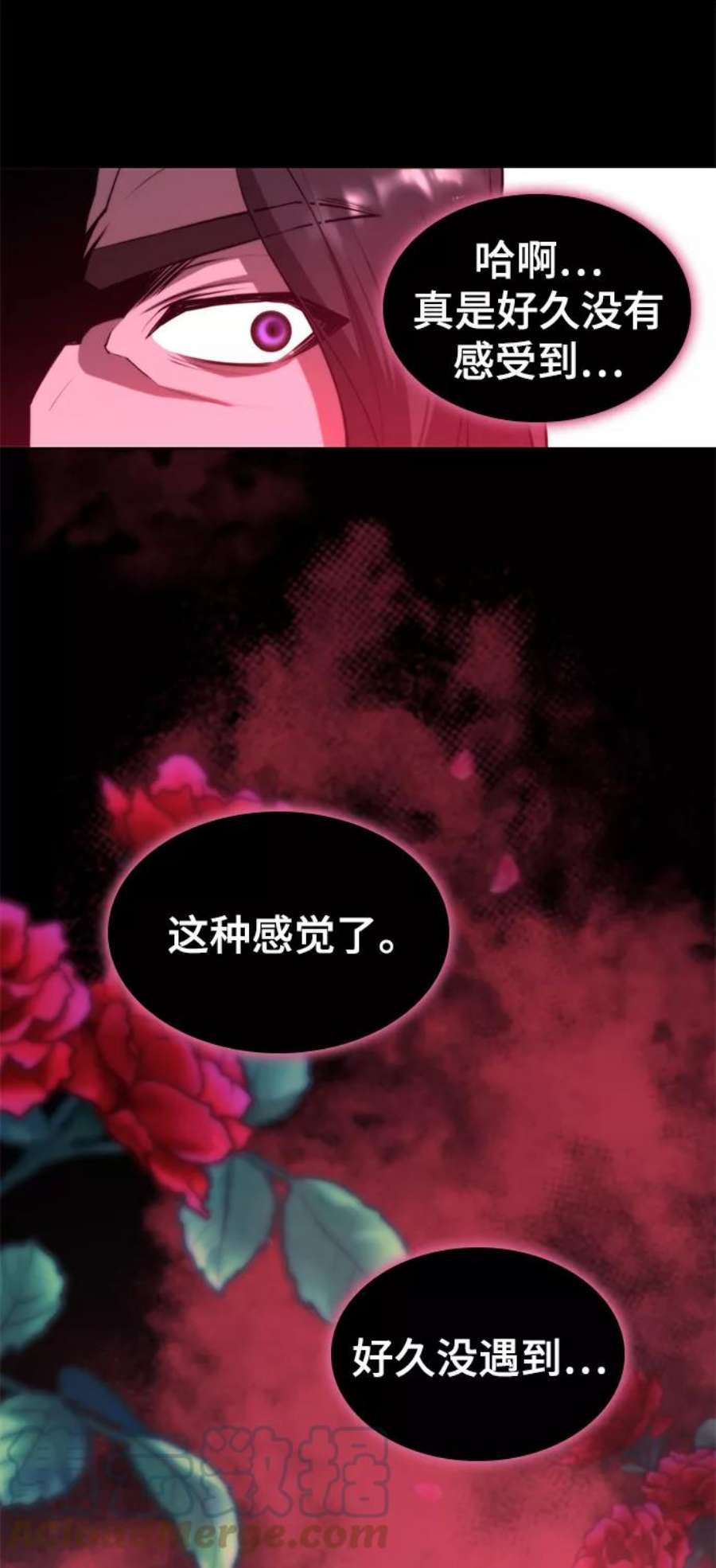 79.jpg