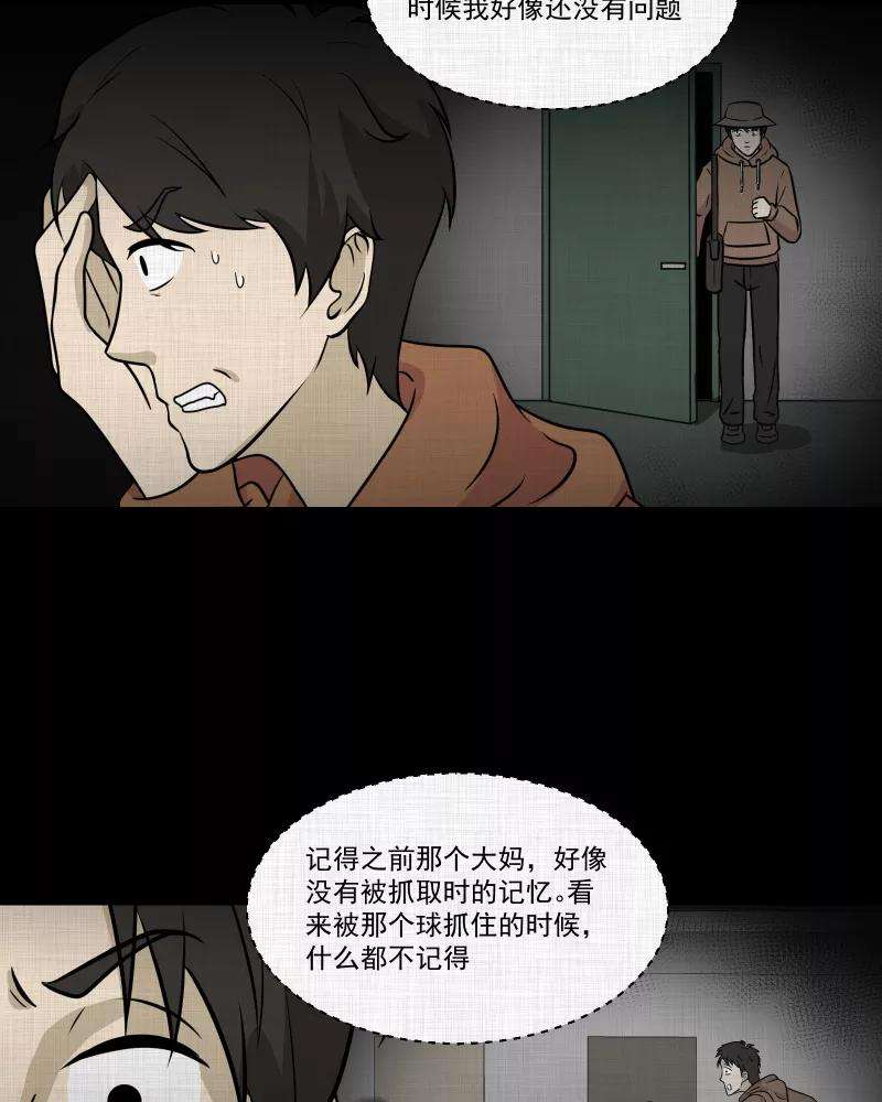 29.jpg
