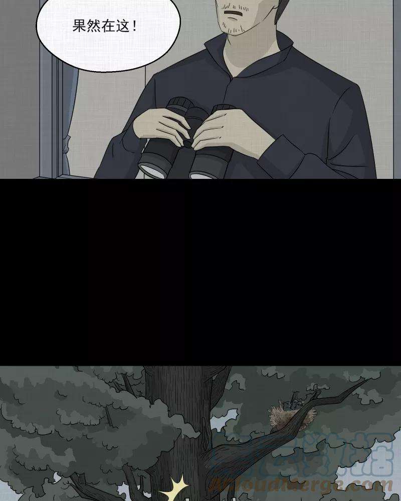 33.jpg
