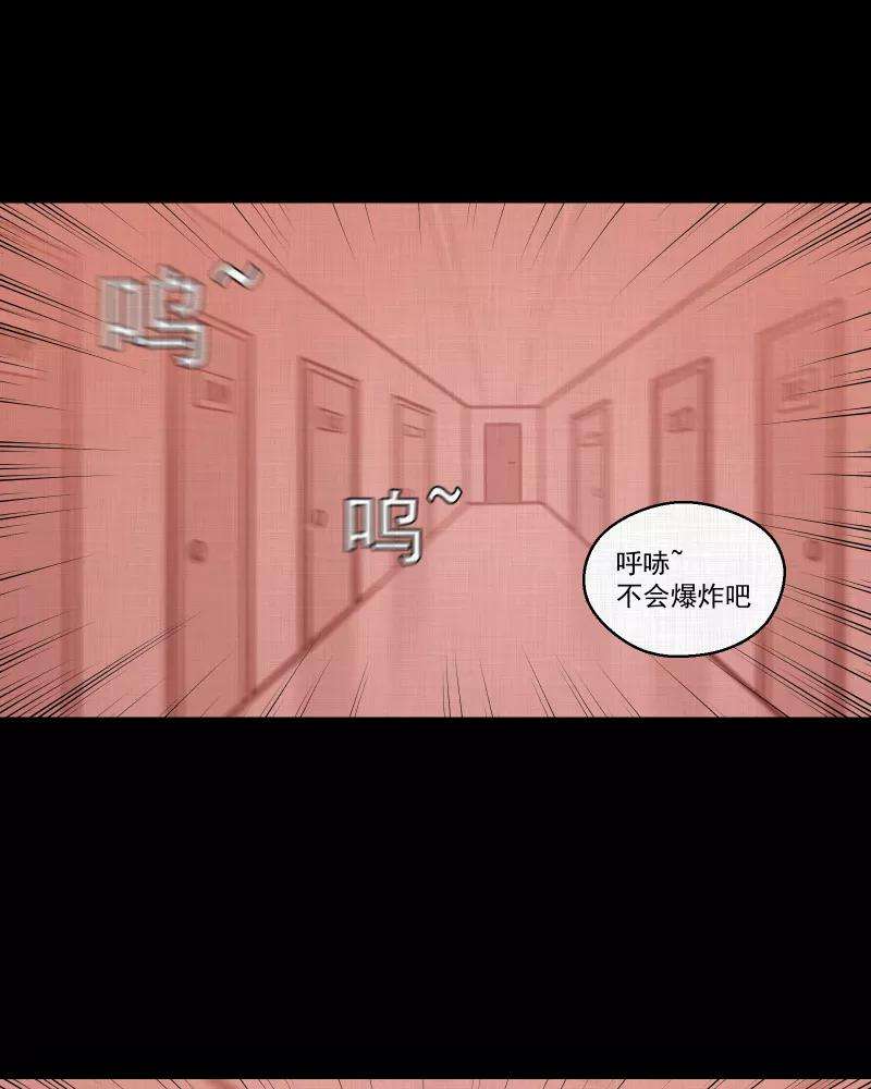 48.jpg
