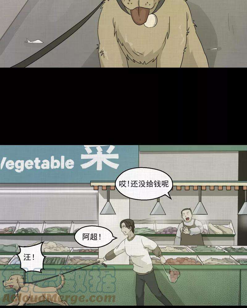 31.jpg