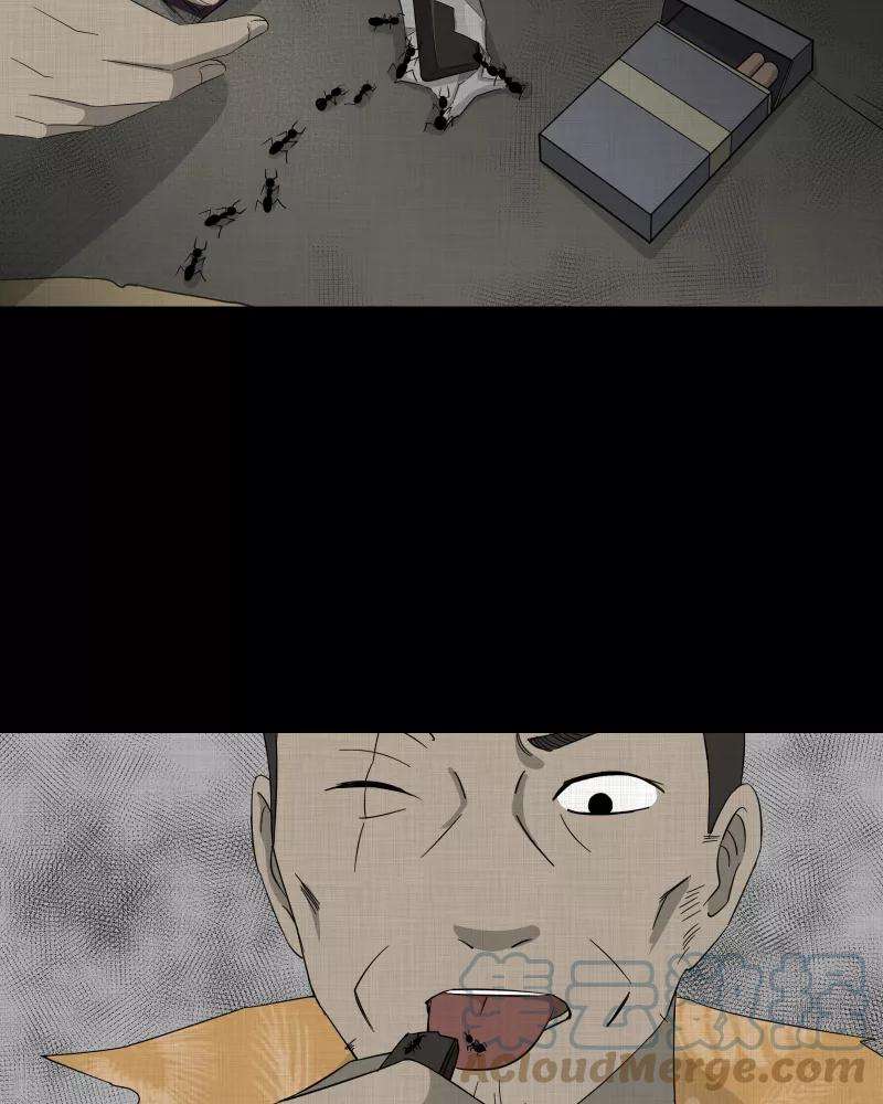 41.jpg