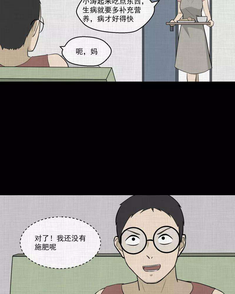 29.jpg