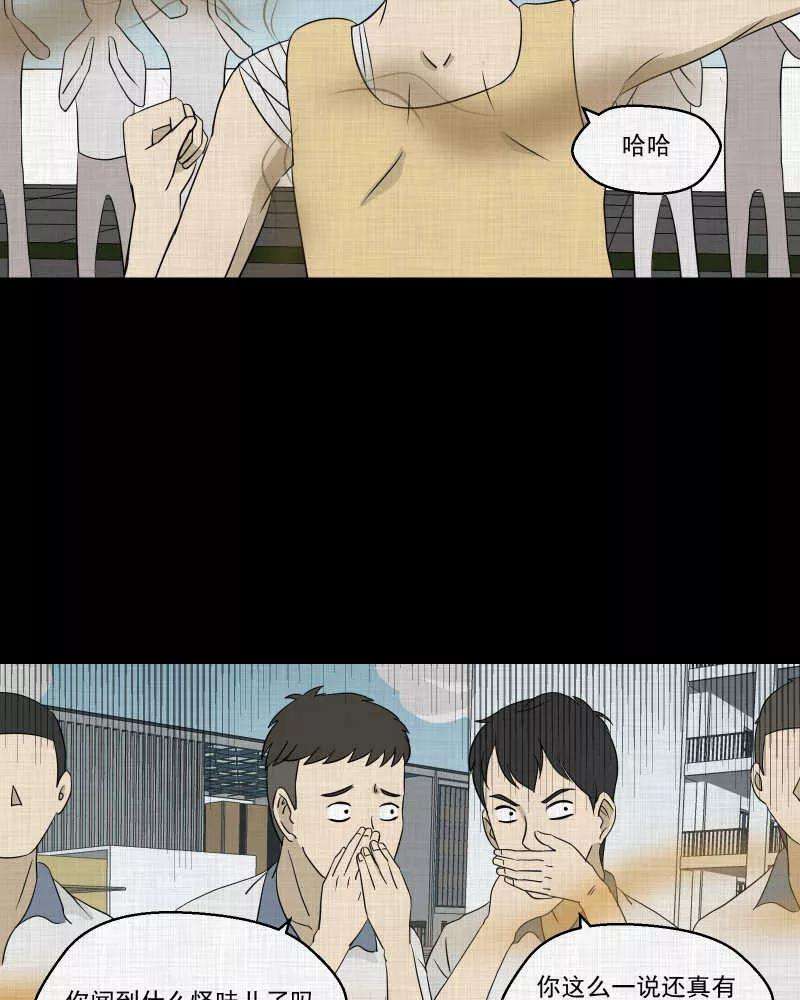 17.jpg