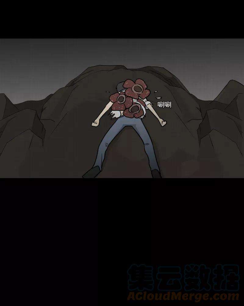 51.jpg