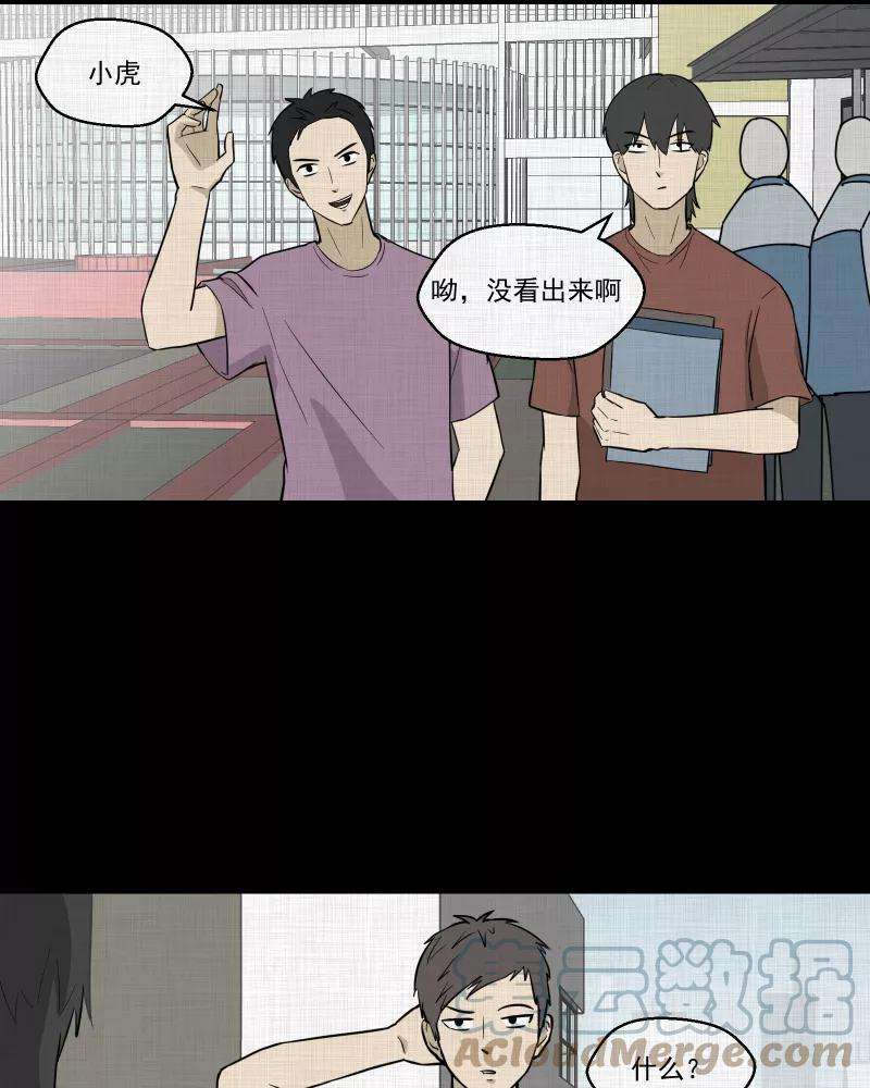 31.jpg