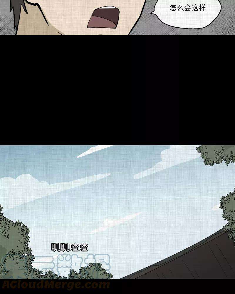 43.jpg