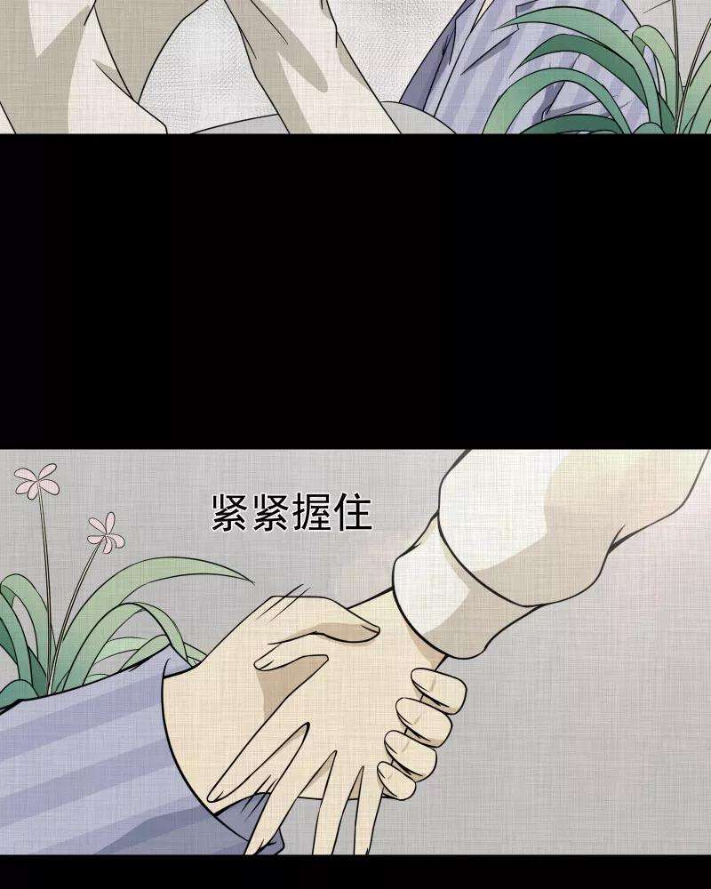 48.jpg