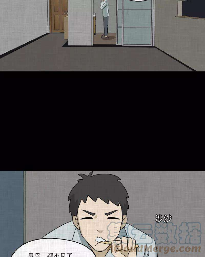 37.jpg
