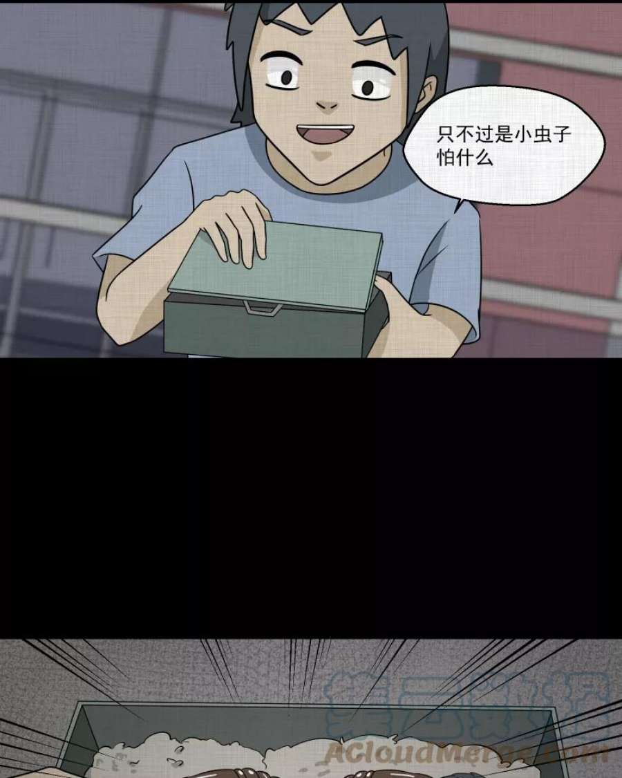 49.jpg