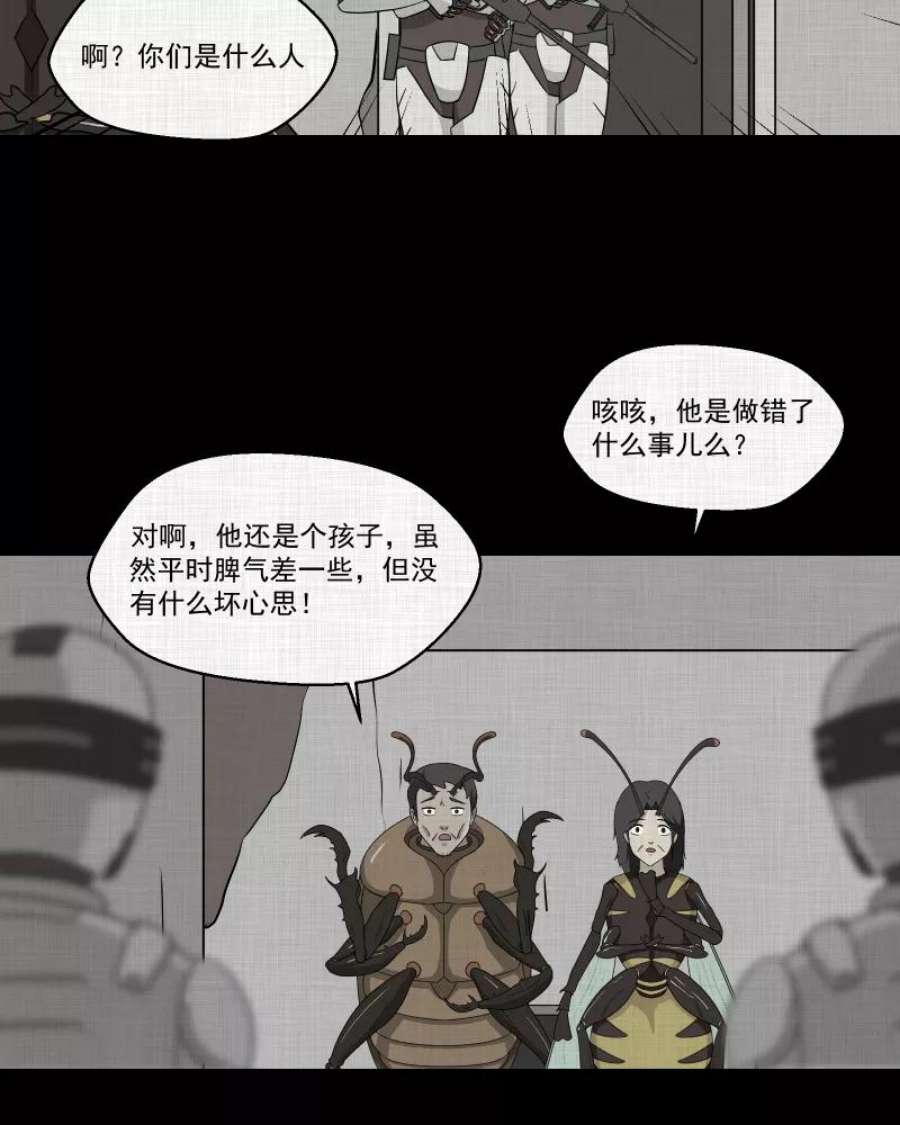 18.jpg