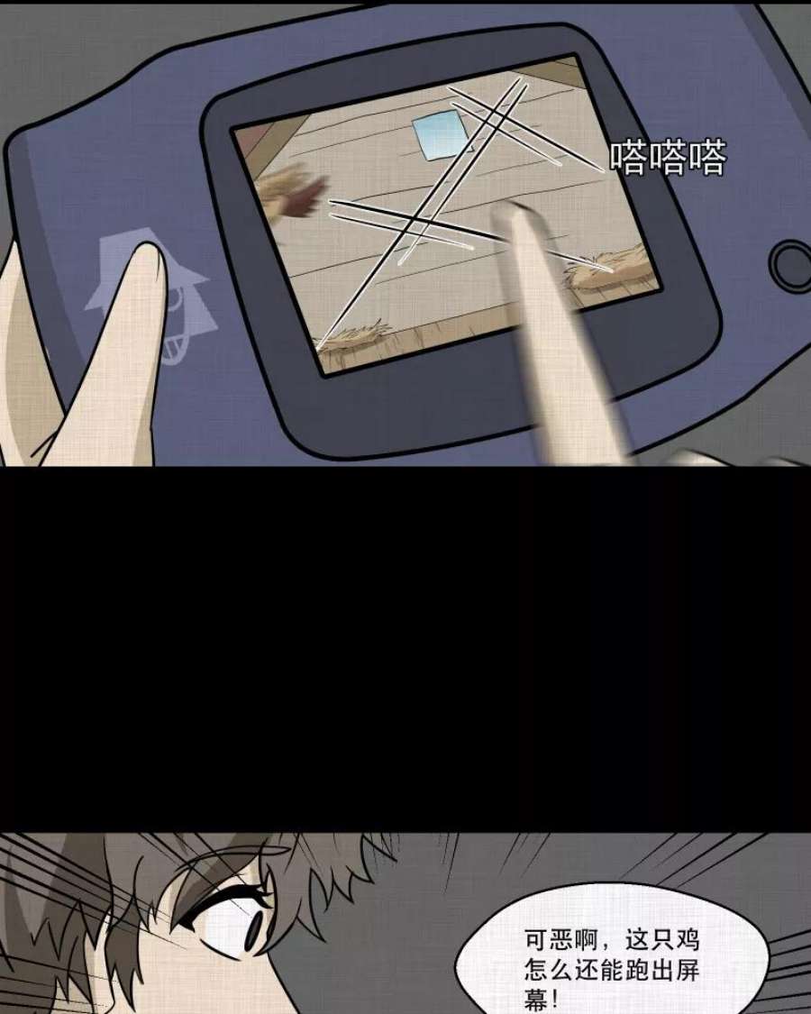 41.jpg