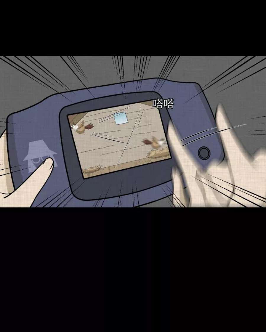 29.jpg