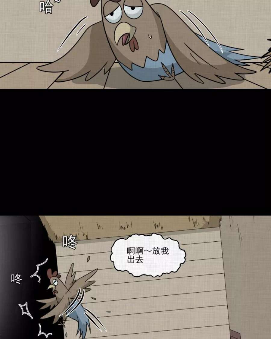 41.jpg