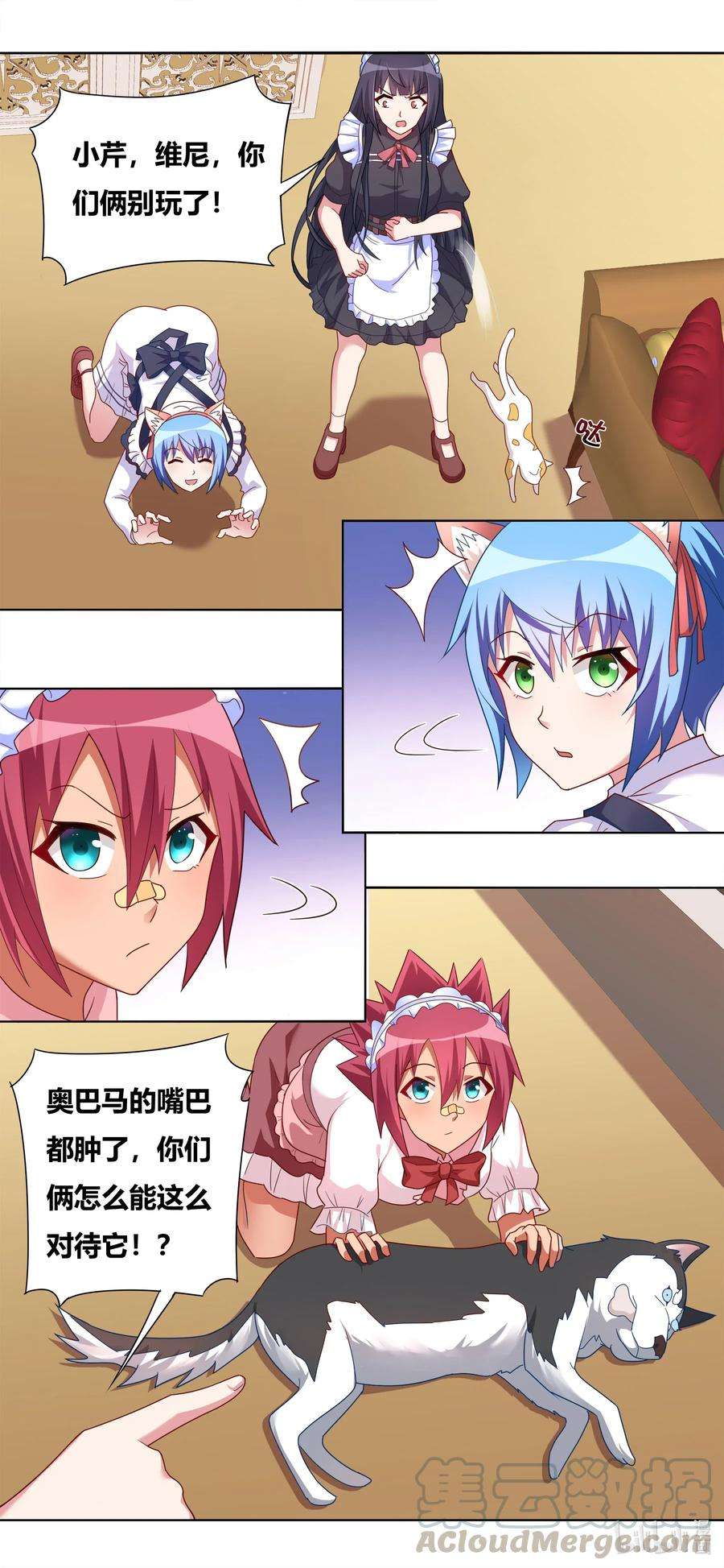 6.jpg