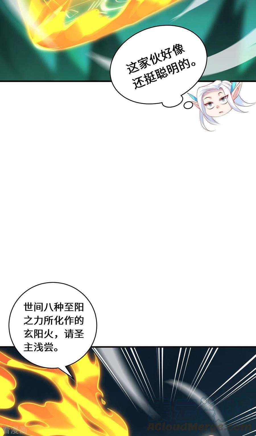 29.jpg