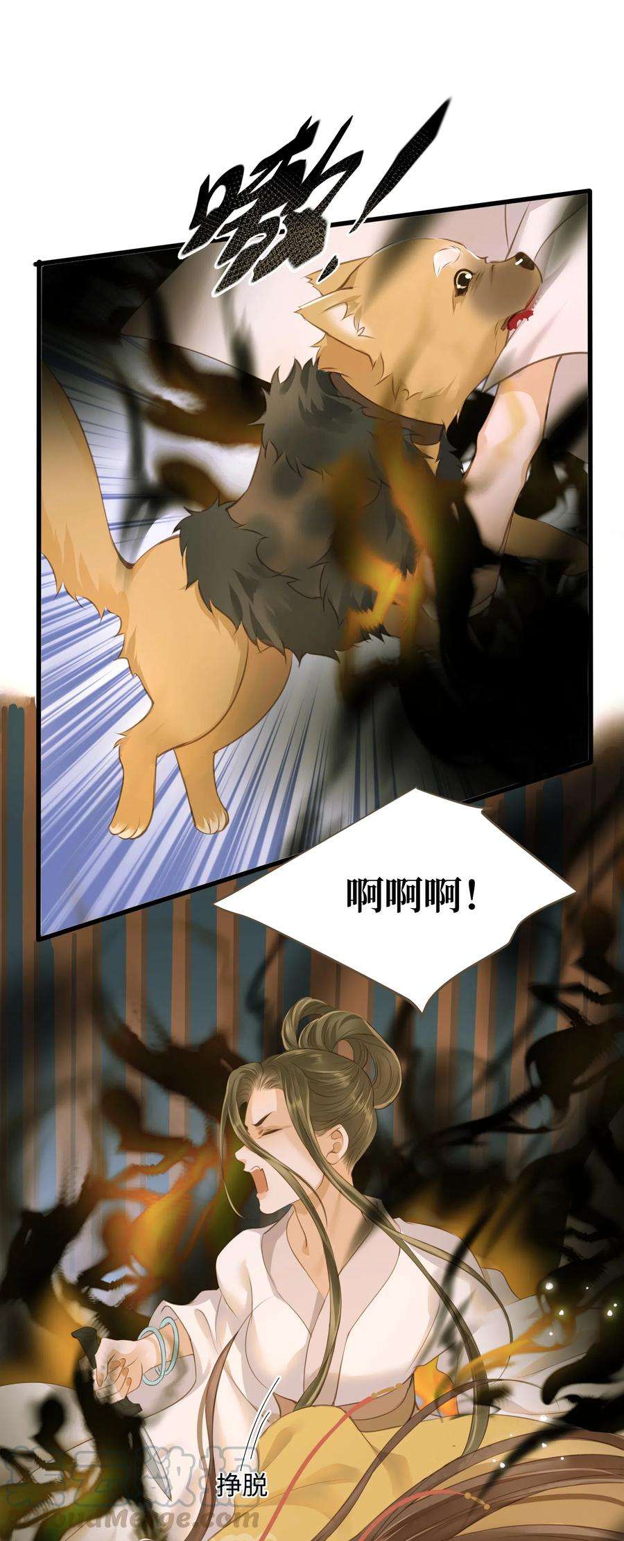 17.jpg