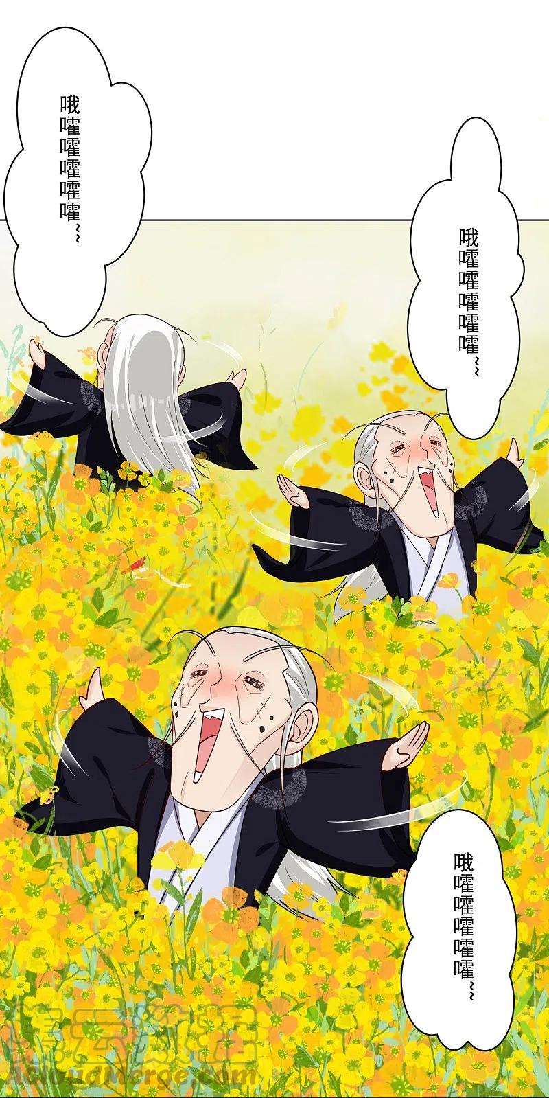 25.jpg