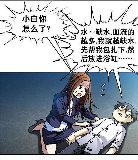29.jpg