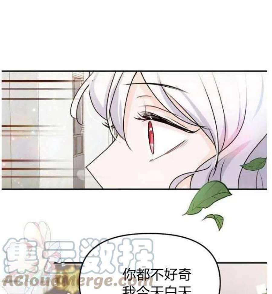 52.jpg
