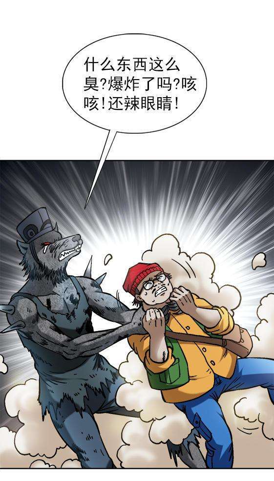 17.jpg