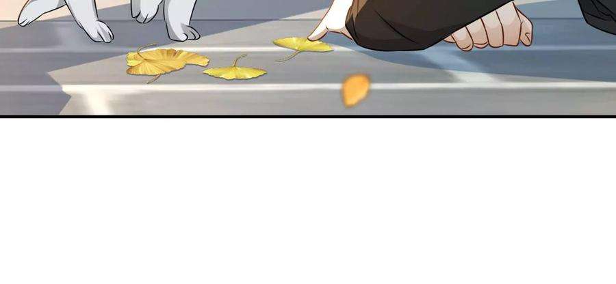 74.jpg