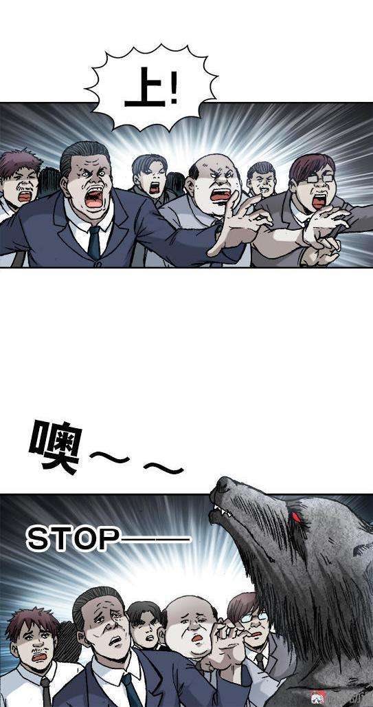 18.jpg