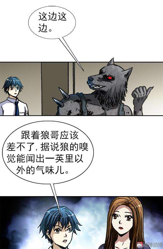 19.jpg
