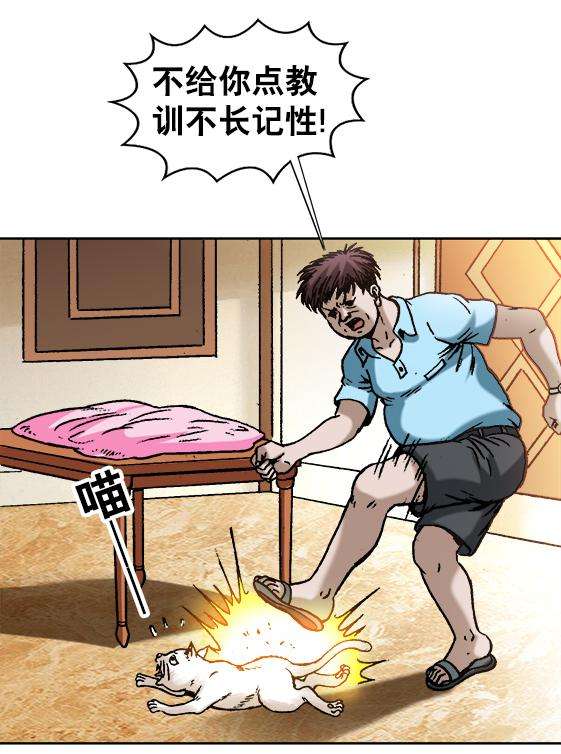 20.jpg