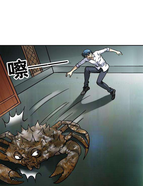 13.jpg