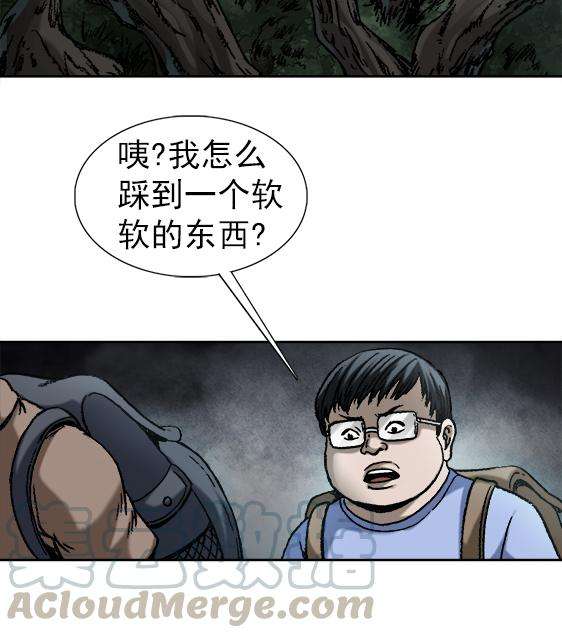 13.jpg