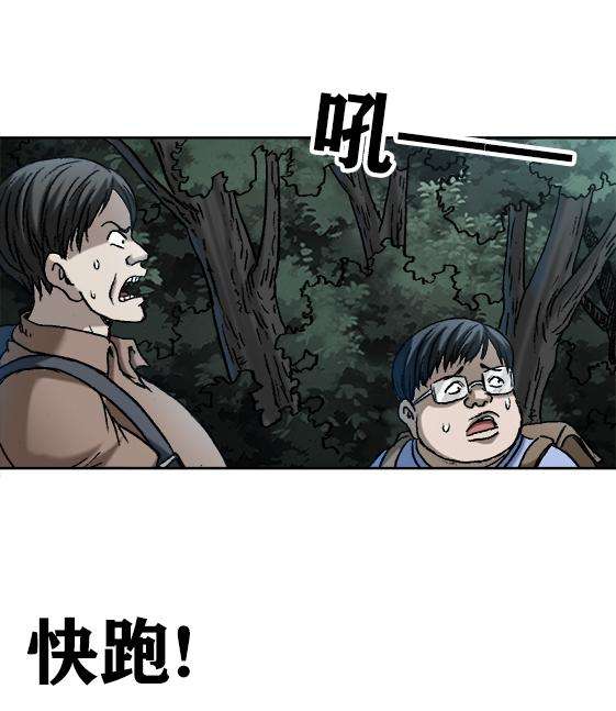 31.jpg