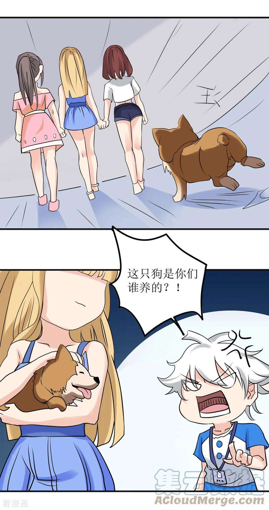 15.jpg