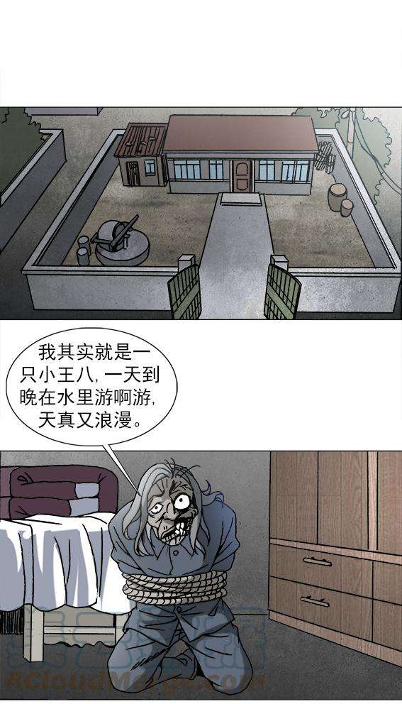 29.jpg