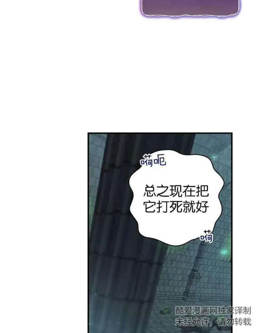 96.jpg