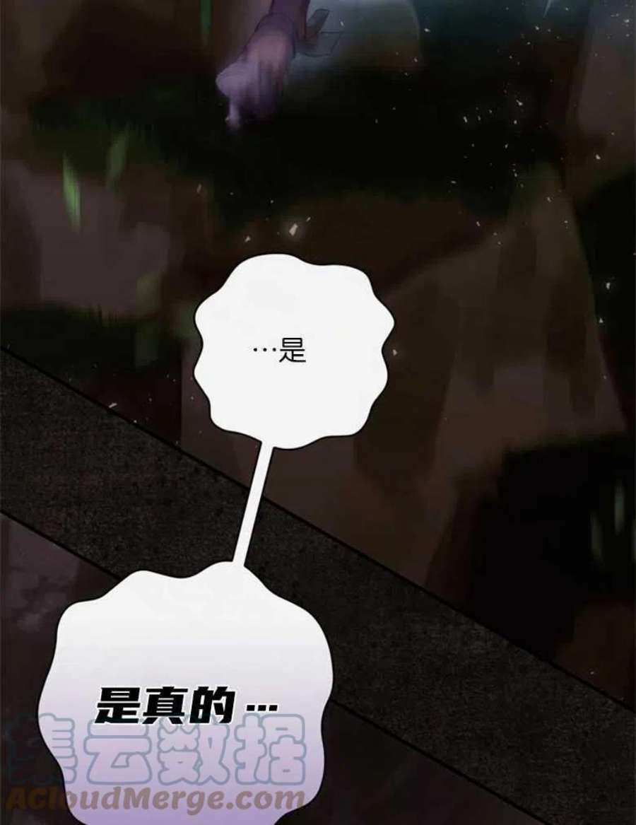 97.jpg