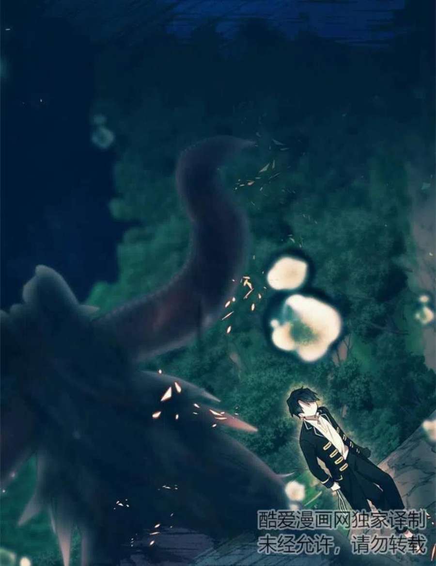 95.jpg