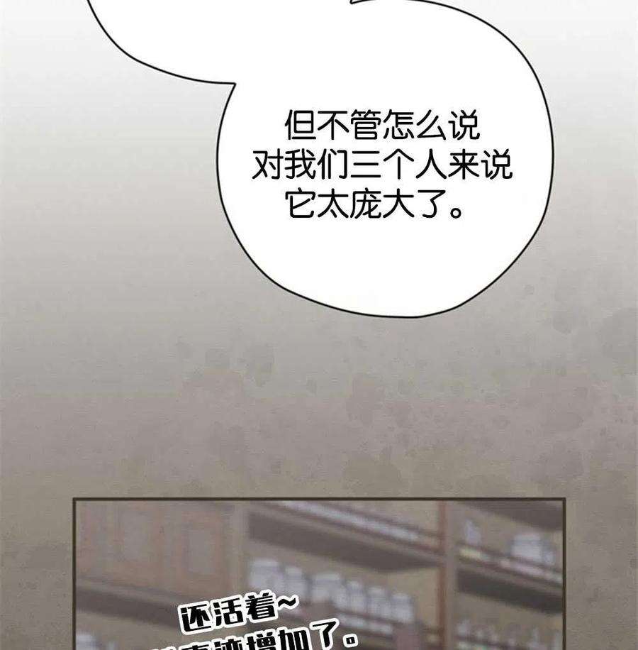 75.jpg
