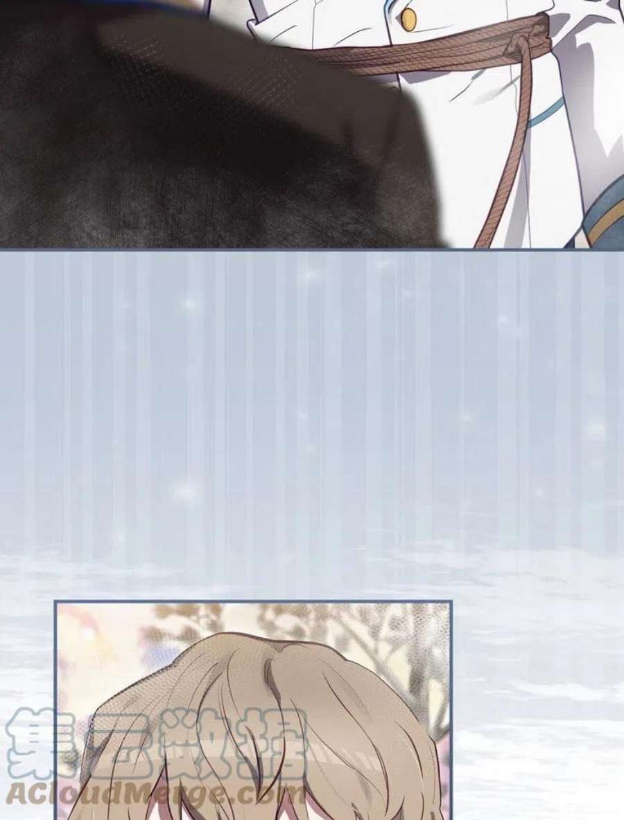 81.jpg