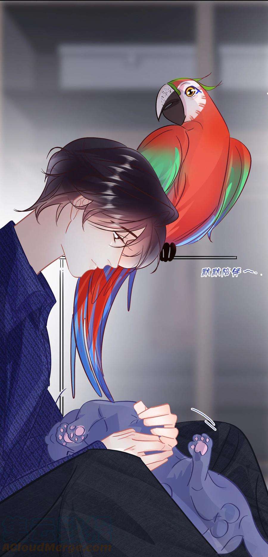 15.jpg