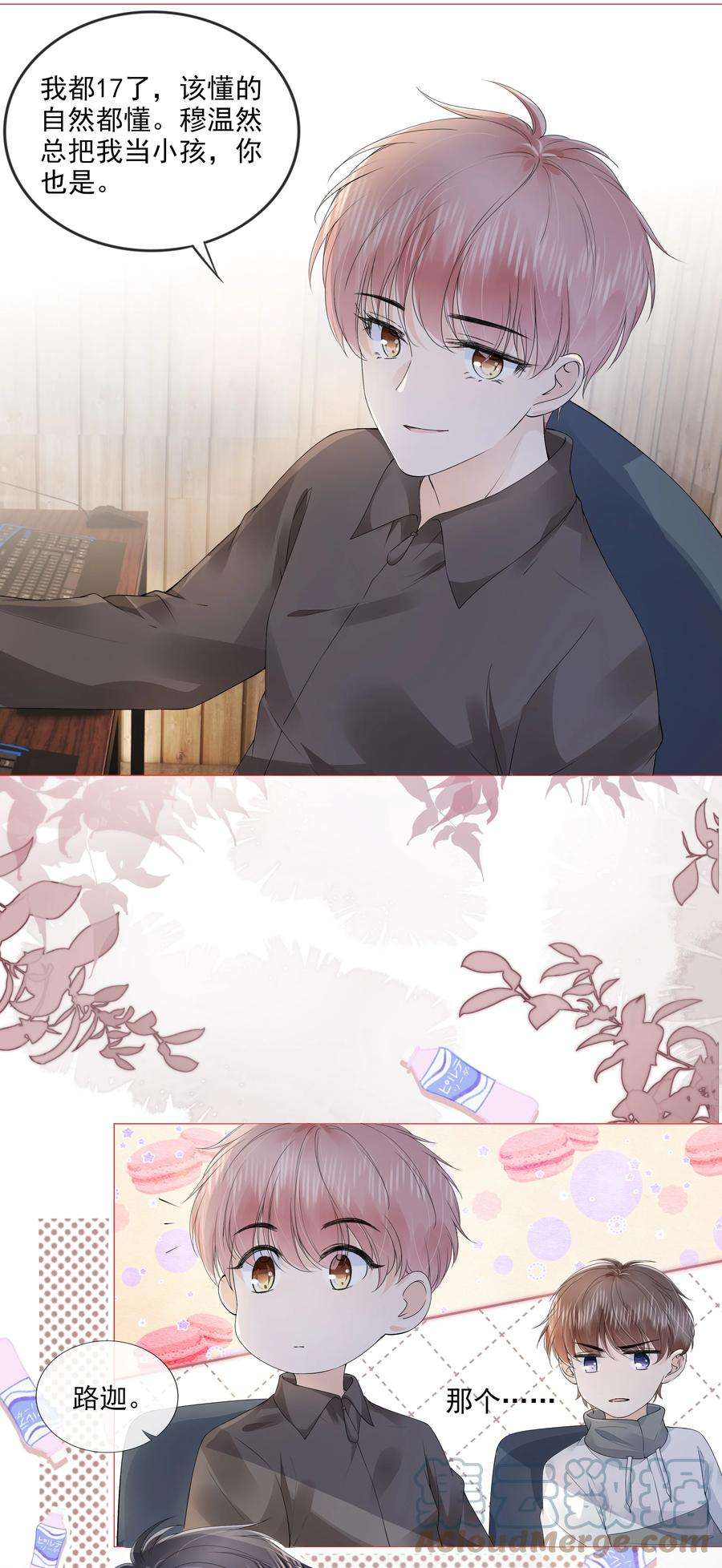 19.jpg
