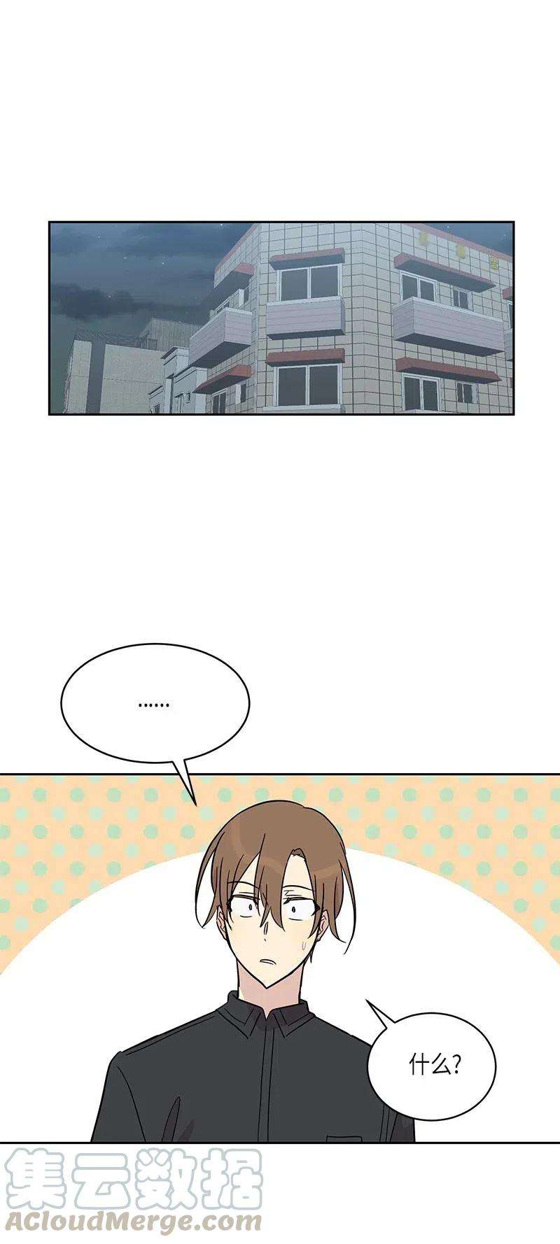 41.jpg
